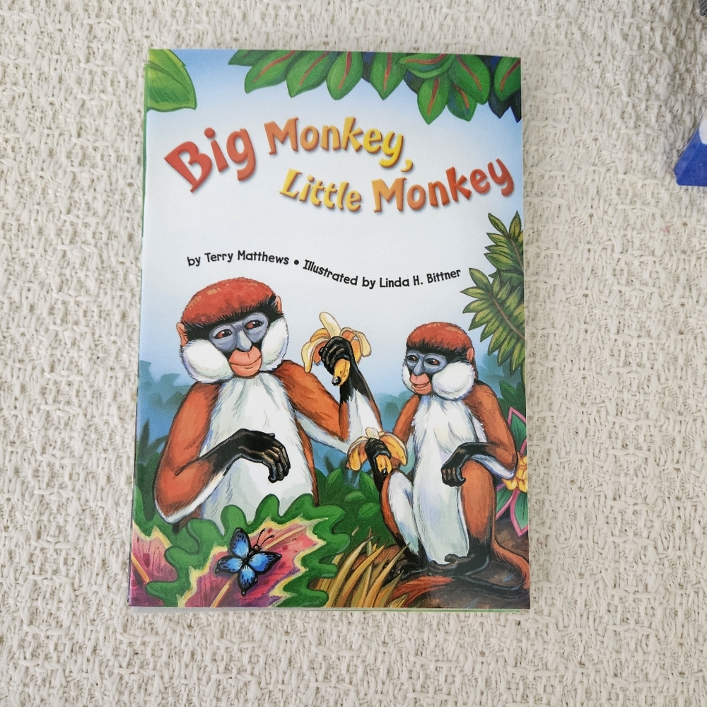 1st Grade 1.1 Reading Set ( 6 books) - Picture 6 of 13